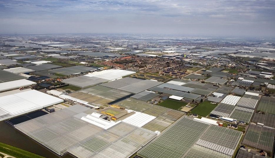 HH-Delfland-Westland